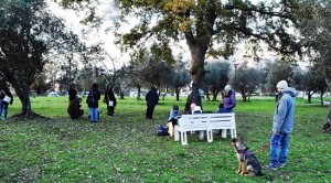 Viterbo - Il corso fotografico al Parco delle querce
