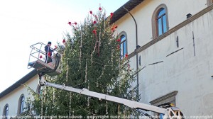 L'albero di Natale a piazza del Comune