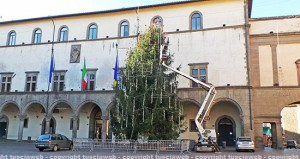 L'albero di Natale a piazza del Comune