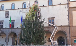 L'albero di Natale a piazza del Comune