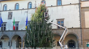 L'albero di Natale a piazza del Comune