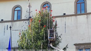 L'albero di Natale a piazza del Comune