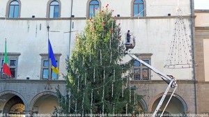 L'albero di Natale a piazza del Comune