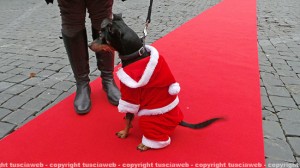 Natale a 4 zampe