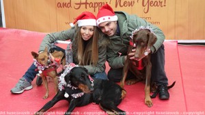 Natale a 4 zampe