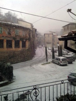 Neve su Canepina - Foto di Vittore Mastrogregori