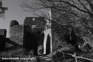 Canale Monterano