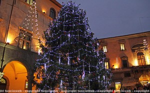 L'albero di Natale a piazza del Comune