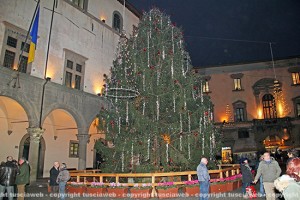 L'albero di Natale a piazza del Comune