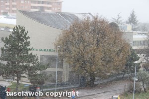La neve su Viterbo