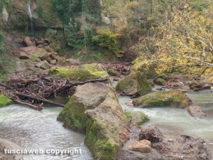 Farnese - Un tratto del fiume Olpeta