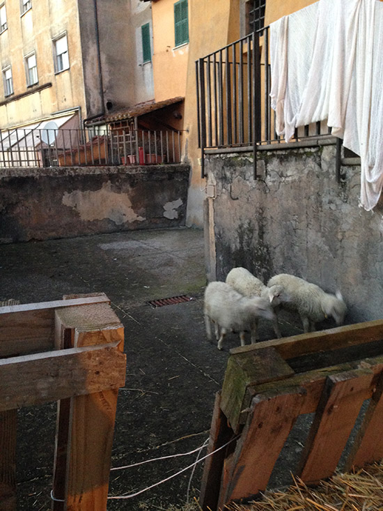 Tuscania - Il Presepe vivente