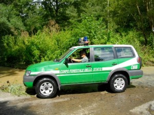 La forestale in azione