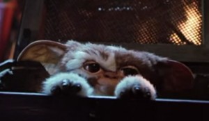 Gizmo dei Gremlins