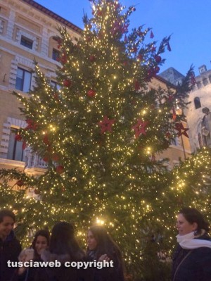 L'albero di Natale a piazza Salimbeni a Siena