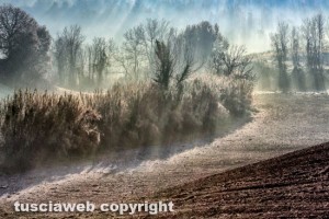 Piansano -Paesaggio invernale (Località Pianacce)
