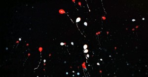 Notte dei desideri, il lancio di palloncini