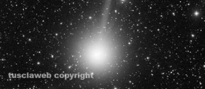 La cometa dell'Epifania