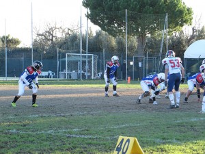 Pitbulls Viterbo