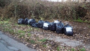L'iimondizia raccolta in strada CaprettaL'iimondizia raccolta in strada Capretta