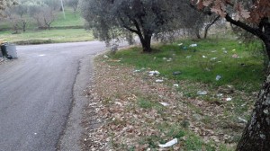 L'immondizia sulle strade e vicino alle isole di prossimità