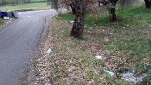L'immondizia sulle strade e vicino alle isole di prossimità