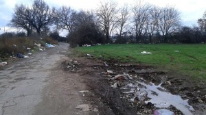 L'immondizia sulle strade e vicino alle isole di prossimità