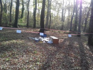 Il bosco di Cura di Vetralla