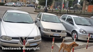 La domenica mattina a Viterbo