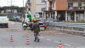 L'intervento ai pioppi in via Genova