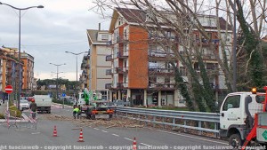 L'intervento ai pioppi in via Genova