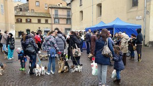 Giornata del microchip - La gente in fila