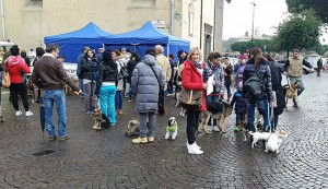 Giornata del microchip - Maria Rita De Alexandris