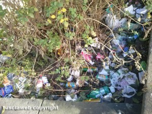 Viterbo - L'aiuola tra via Santa Maria in Volturno e piazza del Sacrario