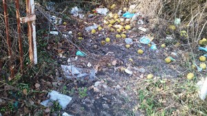 Viterbo - L'immondizia in strada Capretta