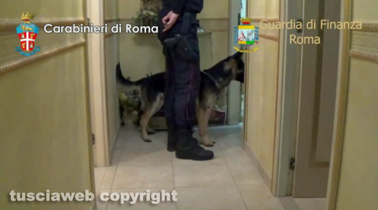Roma - Spaccio a Tor Bella Monaca - Operazione di finanza e carabinieri