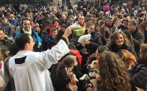 Montalto di Castro - Festeggiamenti di Sant'Antonio Abate