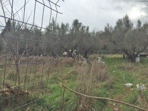 Viterbo - La baraccopoli