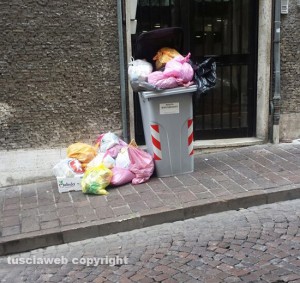 Viterbo - Rifiuti in via Matteotti