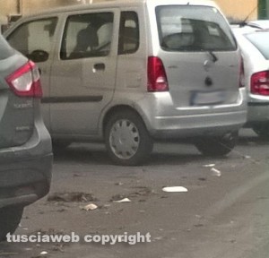 Viterbo - Sporcizia in via del Pilastro