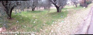 Viterbo - L'isola di prossimità prima della pulizia di Viterbo civica
