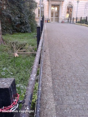 Tarquinia - Gli escrementi degli stormi all'ingresso dell'ospedale