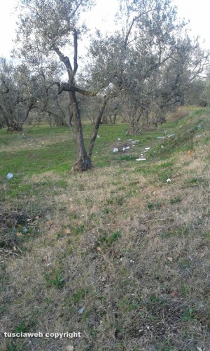 Tobia - Rifiuti in strada Montigliano