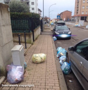 Viterbo - I sacchetti della plastica nel quartiere Santa Barbara