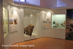 Il Museo nazionale Etrusco alla rocca Albornoz - La sezione di Blera