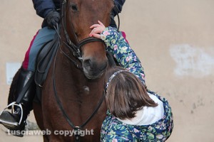 Poliziotti a cavallo, una bambina si avvicina per una carezza