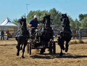 La carrozza del team Attacchi Viterbo