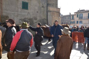 Ischia di castro - Sant'Antonio - La benedizione dei cavaleri