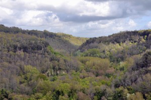 La valle del Treja