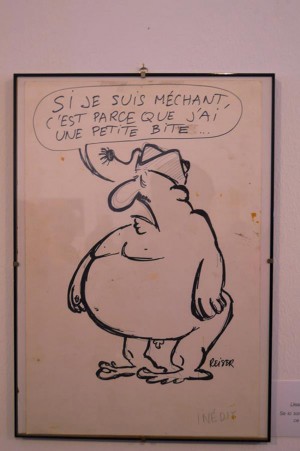 Una vignetta di Raiser